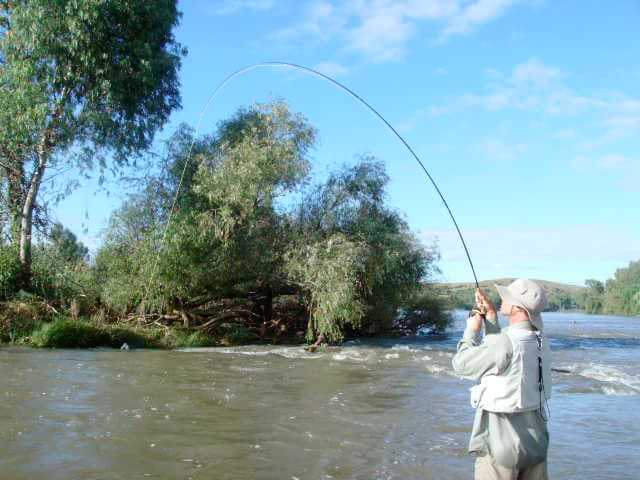 Current Vaal River Yellowfish fishing report and flow condition notes