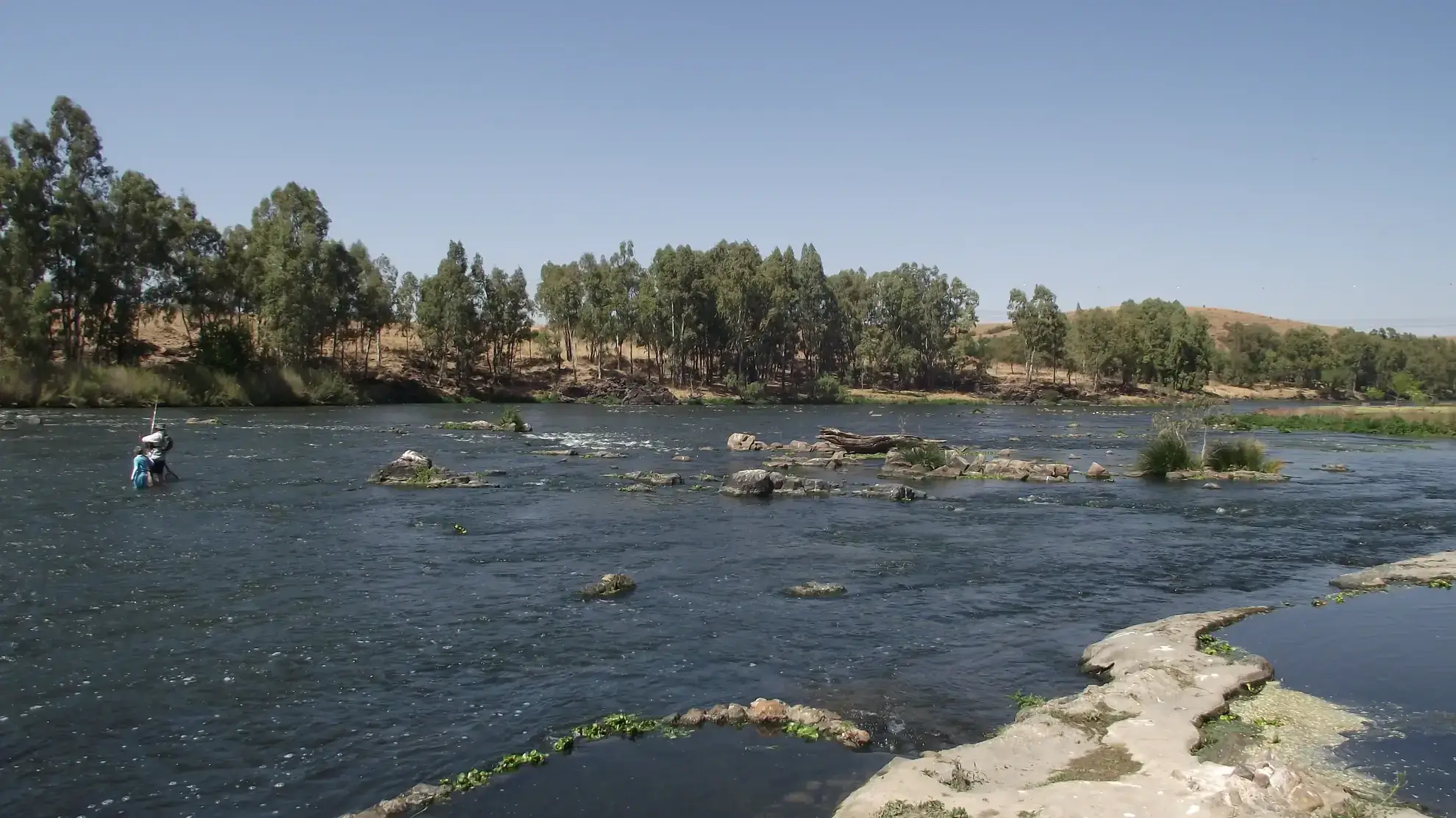 Fly fishing stealth approach on the Vaal River