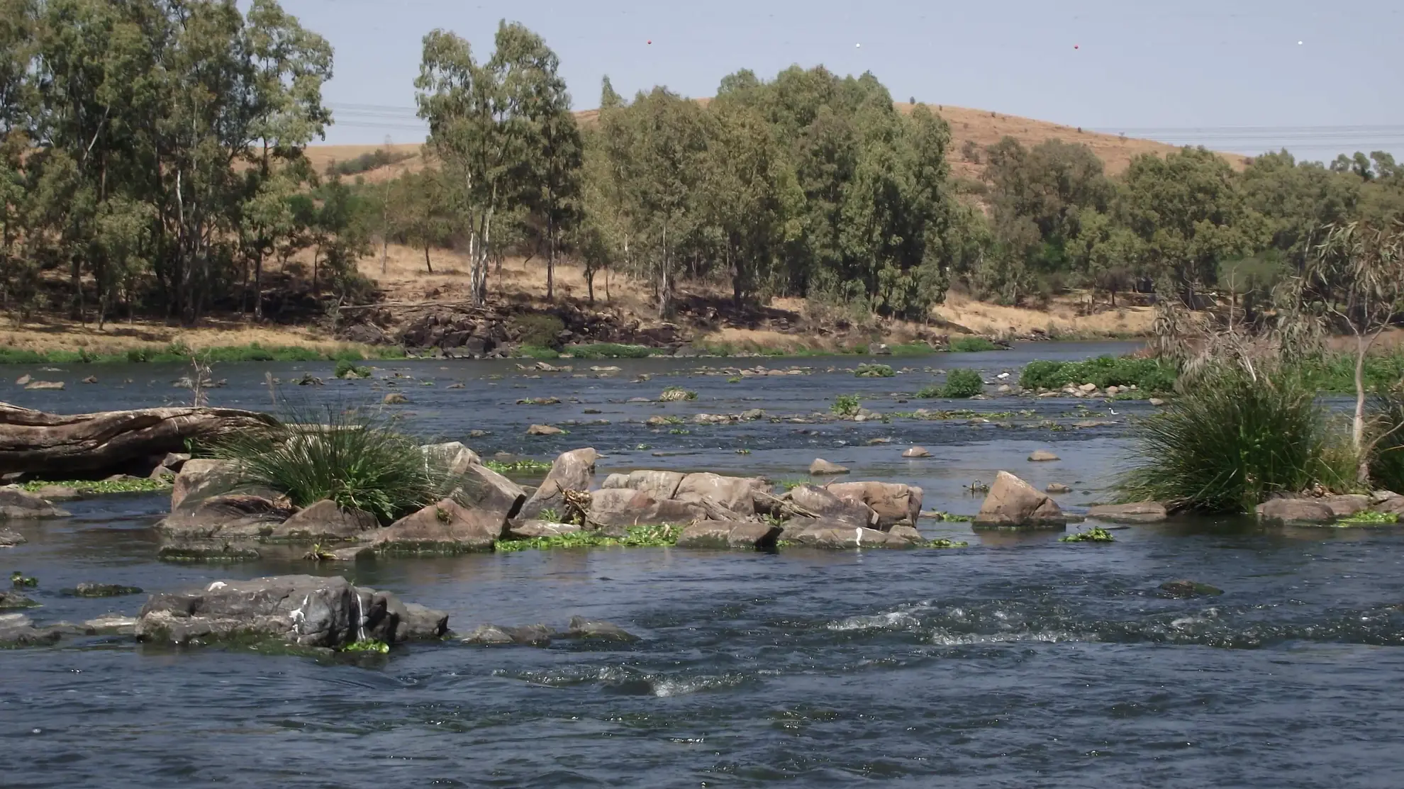 Reading seams and tailouts on the Vaal River
